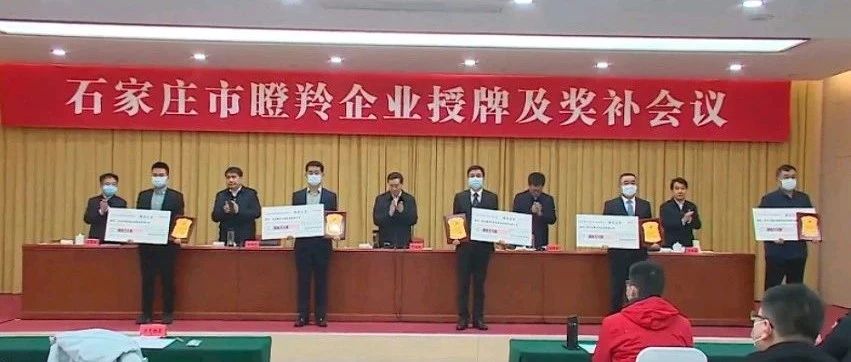 喜報丨為信電子榮獲石家莊市瞪羚企業(yè)稱(chēng)號